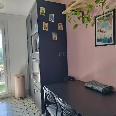Lejlighed La Sevillana - 3 Bedrooms - Cute Terrace - 2 Parkings Toulouse